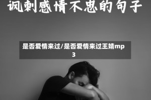 是否爱情来过/是否爱情来过王婧mp3