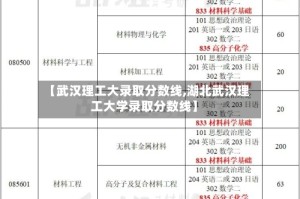 【武汉理工大录取分数线,湖北武汉理工大学录取分数线】