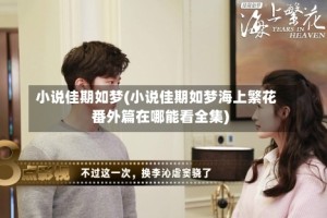 小说佳期如梦(小说佳期如梦海上繁花番外篇在哪能看全集)