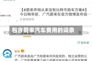 包含蔚来汽车费用的词条