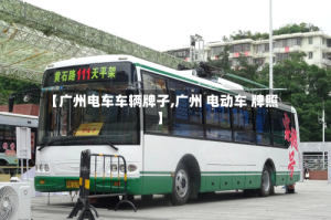 【广州电车车辆牌子,广州 电动车 牌照】