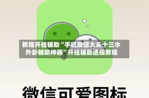 教程开挂辅助“手机微信大头十三水外卦辅助神器”开挂辅助透视教程