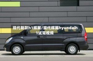现代新款h1辉翼/现代辉翼hyundaih1试驾视频