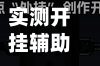 实测开挂辅助“嘟嘟十三张挂怎么开”(曝光透视必备猫腻)