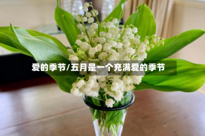 爱的季节/五月是一个充满爱的季节