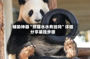 辅助神器“熊猫水水有挂吗”详细分享装挂步骤