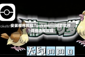 安装程序教程“pokemmo辅助软件”详细透视教程