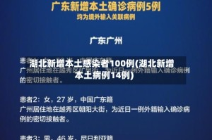 湖北新增本土感染者100例(湖北新增本土病例14例)