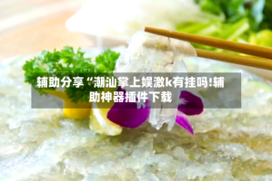 辅助分享“潮汕掌上娱激k有挂吗!辅助神器插件下载