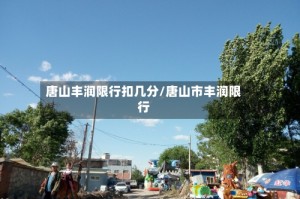 唐山丰润限行扣几分/唐山市丰润限行