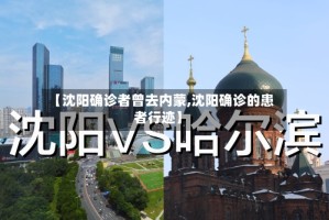 【沈阳确诊者曾去内蒙,沈阳确诊的患者行迹】