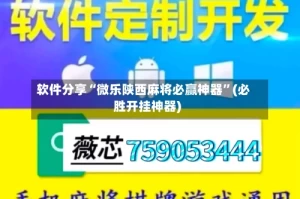 软件分享“微乐陕西麻将必赢神器”(必胜开挂神器)