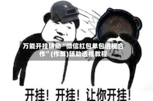 万能开挂辅助“微信红包单包透视合作”(作弊)辅助透视教程
