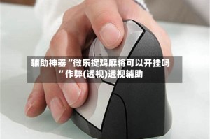 辅助神器“微乐捉鸡麻将可以开挂吗”作弊(透视)透视辅助