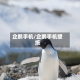 企鹅手机/企鹅手机壁纸