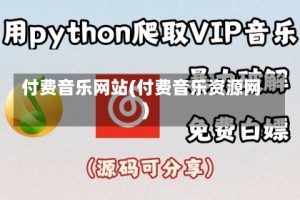 付费音乐网站(付费音乐资源网)