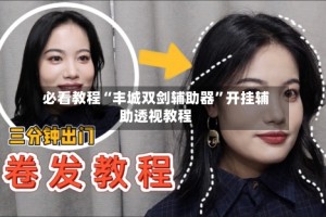 必看教程“丰城双剑辅助器”开挂辅助透视教程