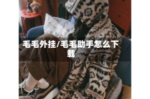 毛毛外挂/毛毛助手怎么下载