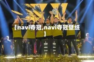 【navi夺冠,navi夺冠壁纸】
