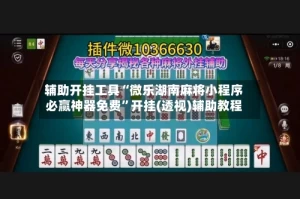 辅助开挂工具“微乐湖南麻将小程序必赢神器免费”开挂(透视)辅助教程
