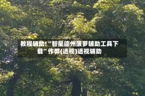 教程辅助!“智星德州菠萝辅助工具下载”作弊(透视)透视辅助