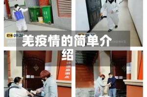 羌疫情的简单介绍