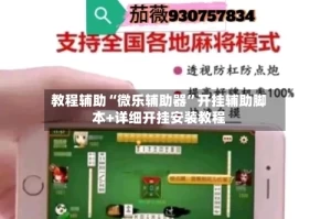 教程辅助“微乐辅助器”开挂辅助脚本+详细开挂安装教程