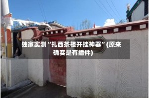独家实测“扎西茶楼开挂神器”(原来确实是有插件)