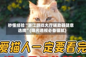 秒懂经验“浙江游戏大厅辅助器随意选牌”(曝光透视必备猫腻)