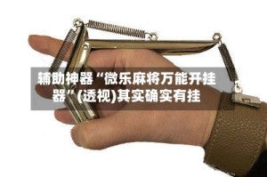 辅助神器“微乐麻将万能开挂器”(透视)其实确实有挂