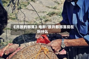 《开放的部落》电影/放开那部落现在叫什么