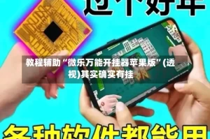 教程辅助“微乐万能开挂器苹果版”(透视)其实确实有挂