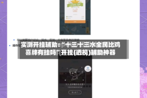 实测开挂辅助:“十三十三水全民比鸡喜牌有挂吗”开挂(透视)辅助神器