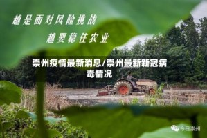 崇州疫情最新消息/崇州最新新冠病毒情况