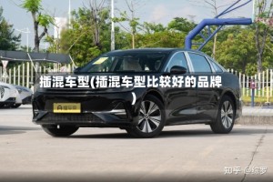 插混车型(插混车型比较好的品牌)