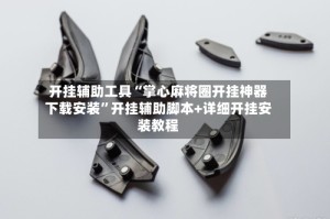 开挂辅助工具“掌心麻将圈开挂神器下载安装”开挂辅助脚本+详细开挂安装教程