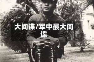 大间谍/军中最大间谍