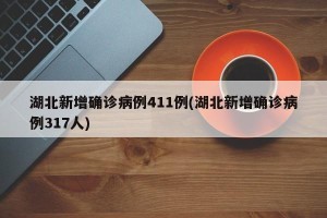 湖北新增确诊病例411例(湖北新增确诊病例317人)
