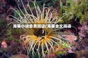 海葵小说免费阅读(海葵全文阅读)