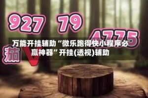 万能开挂辅助“微乐跑得快小程序必赢神器”开挂(透视)辅助