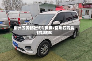 柳州五菱新款汽车费用/柳州五菱最新款轿车