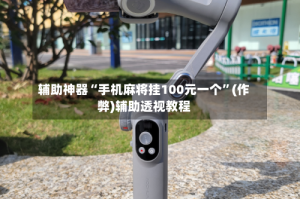 辅助神器“手机麻将挂100元一个”(作弊)辅助透视教程