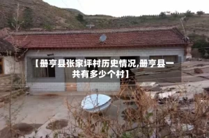 【册亨县张家坪村历史情况,册亨县一共有多少个村】