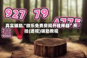 真实辅助“微乐免费房间开挂神器”开挂(透视)辅助教程