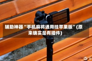 辅助神器“手机麻将通用挂苹果版”(原来确实是有插件)