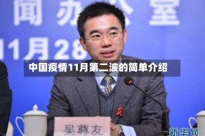 中国疫情11月第二波的简单介绍