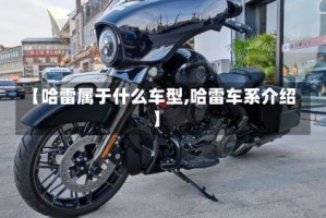 【哈雷属于什么车型,哈雷车系介绍】