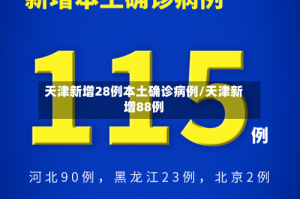 天津新增28例本土确诊病例/天津新增88例