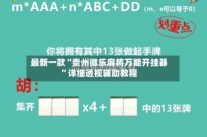 最新一款“贵州微乐麻将万能开挂器”详细透视辅助教程