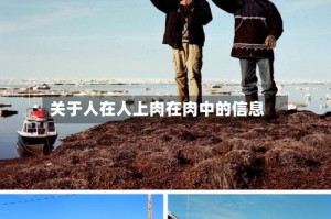 关于人在人上肉在肉中的信息